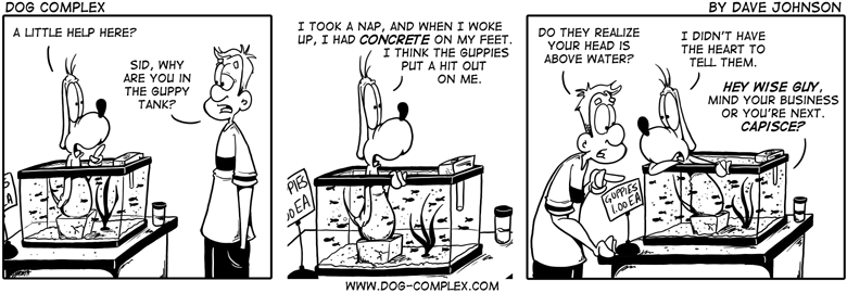 dog
